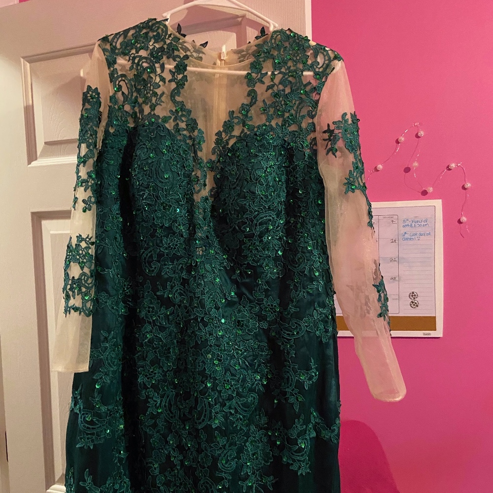 Plus Size Evening Gown